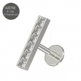 G23 Titanium Jeweled Rectangle Silber Push Fit Labret